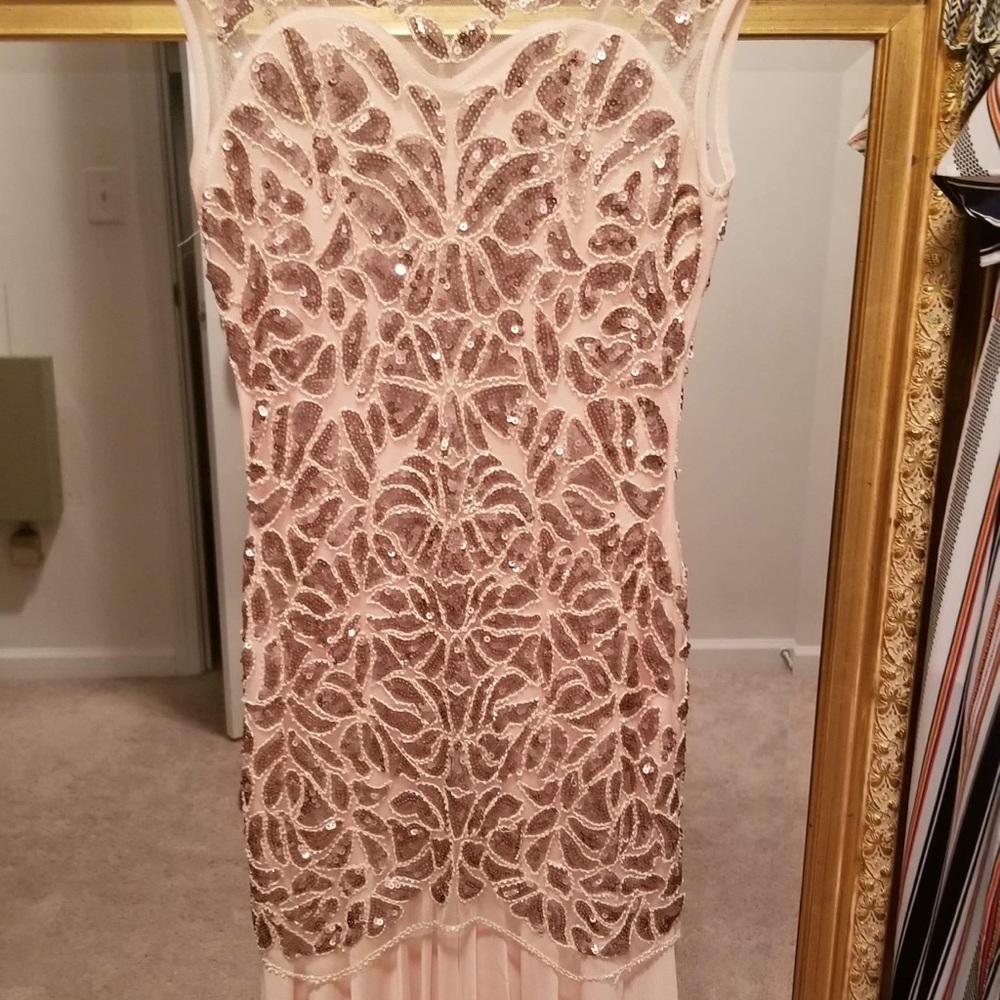 Rose Gold Dress